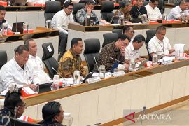Wamenhut dukung swasembada pangan lewat agroforestri perhutanan sosial
