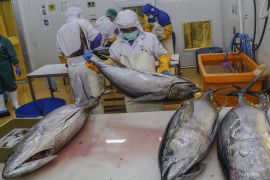 KKP strengthens seafood exports by helping local businesses