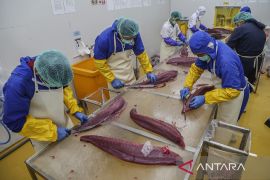 Indonesia secures export access to T&uuml;rkiye, China