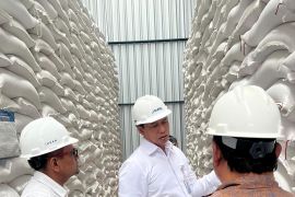 Bulog pastikan stok pangan aman hingga Idul Fitri