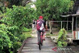 Pemerintah desa di Kotim diimbau lebih bijak sikapi penurunan Dana Desa