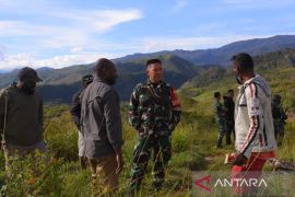 Kodim 1702 bantu pengembangan perkebunan kopi di Jayawijaya