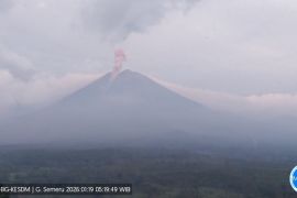 Semeru enam kali erupsi dengan tinggi letusan hingga 1 kilometer