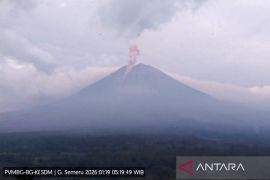 Semeru enam kali erupsi dengan tinggi letusan hingga 1 km