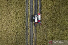 Menyambut panen raya 2026