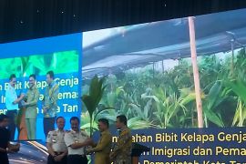 Kemenimipas salurkan 20 ribu bibit kelapa dukung program hilirisasi