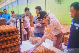 BKHIT Sumsel dampingi produsen telur tembus pasar ekspor