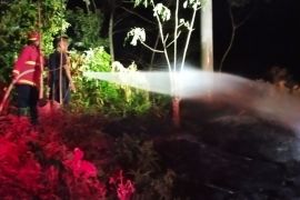 Disdamkar Natuna padamkan karhutla di dua titik lokasi