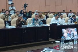 Maluku serukan keadilan fiskal nasional lewat reformulasi DAU