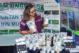 Kopi Baloi dan Nilam Organik Ramaikan Hari Desa Nasional 2026