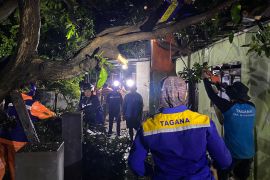 Puluhan rumah di Situbondo porak-poranda diterjang puting beliung