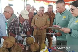 Pemprov Bengkulu dukung Festival Durian Rejang Lebong jadi rutinitas