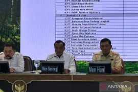 Satgas PKH rilis 28 perusahaan pelanggar lahan hutan