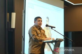 Makassar menjadi tuan rumah lokakarya APEC pengelolaan kesehatan anak