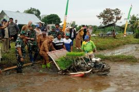 Belitung rancang pengembangan lahan tidur untuk perluasan sawah