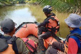 Basarnas perluas daerah pencarian korban buaya Sei Sangkuranai