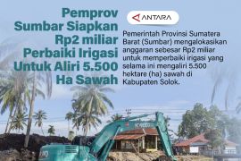 Pemprov Sumbar siapkan Rp2 miliar perbaiki irigasi untuk aliri 5.500 ha sawah