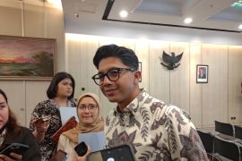 Danantara menyiapkan tender PLTSa tahap awal di empat daerah