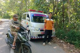 Warga memakai sirine ambulan untuk menghalau kemunculan harimau di Agam