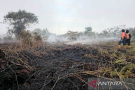 Karhutla berulang, ini desakan LSM ke Polisi