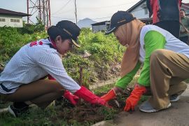 Pemkot Singkawang tingkatkan kualitas lingkungan dengan tanam pohon