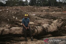 Pascabencana Sumatera, SHI apresiasi pencabutan 28 izin perusak hutan