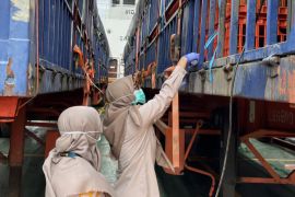 Karantina Kepri permudah ekspor ayam hidup lewat layanan SSMEkspor