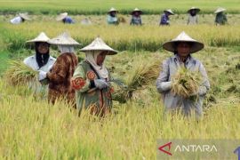 NTP Kaltim Desember 2025 turun 0,30 persen