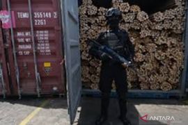 Bea Cukai Kalbar gagalkan ekspor empat kontainer rotan ilegal ke Tiongkok