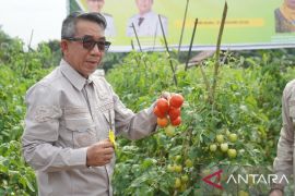 Pemkab Kutim Komitmen Bina Petani Hortikultura