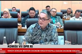 Anggota DPR soroti penganggaran untuk pengembangan ekonomi kreatif