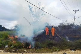 Pemkab Natuna keluarkan surat edaran penanggulangan dan pencegahan karhutla