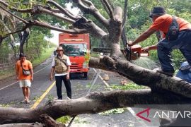 Cuaca ekstrem, Banjir dan angin kencang landa sejumlah daerah di NTB