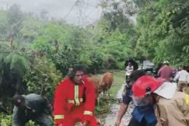 Mahasiswa tewas, Banjir dan Pohon tumbang terjang Bima