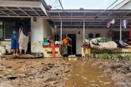 Pemkab Situbondo: Rumah terdampak banjir bandang capai 6.328 unit