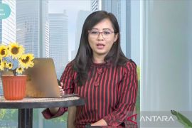 BRI sebut risiko iklim ancam kualitas aset dan stabilitas modal bank