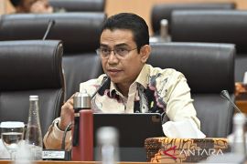 Anggota DPR minta Kemenpar fokus kembangkan desa wisata secara merata