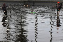 Banyak tambak udang di Aceh Jaya tak kantongi izin, tetap beroperasi