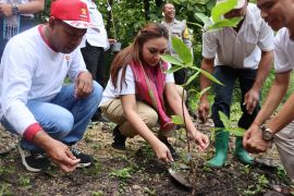 Pemkot Kupang dan Gerindra menanam 1.000 anakan pohon produktif