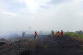 PKH Kalimantan tingkatkan kesiapsiagaan karhutla di Kalbar