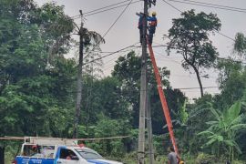 PLN pastikan listrik di Probolinggo menyala setelah banjir bandang