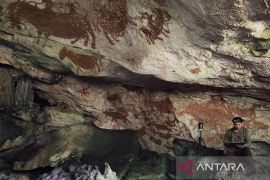 Peneliti BRIN temukan seni cadas purba berusia 67.800 tahun di Muna