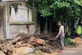 Pohon tinggi 10 meter di Kelapa Dua Wetan Jaktim tumbang