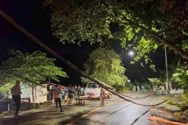 PLN gerak cepat tangani gangguan jaringan di Kuta Lombok Tengah