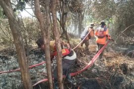 BNPB pastikan tidak ada korban dalam karhutla di Kotawaringin Barat