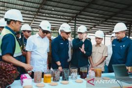 Danantara: Transformasi PalmCo Perkuat Kemandirian Pangan dan Energi Nasional