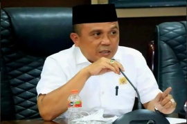 DPRD Tanah Bumbu perjuangkan status wisata Pulau Suwangi