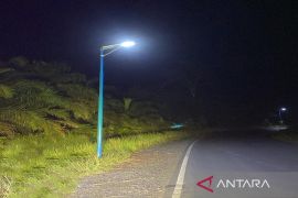 Bupati Tanah Bumbu perjuangkan fasilitas penerang jalan Batulicin-Banjarbaru