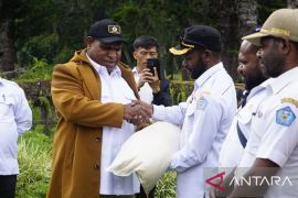 Pemkab Jayawijaya salurkan bantuan sosial beras ke warga lima distrik