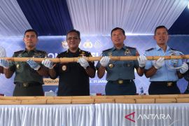 Bea Cukai gagalkan penyelundupan rotan ilegal